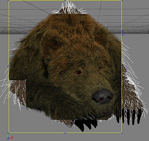 Fast interactive rendering makes for integrated high-quality renders of even complex fur dynamics. Image courtesy of Softimage Co. and Avid Technology Inc. Bear courtesy of Project Studio, France.