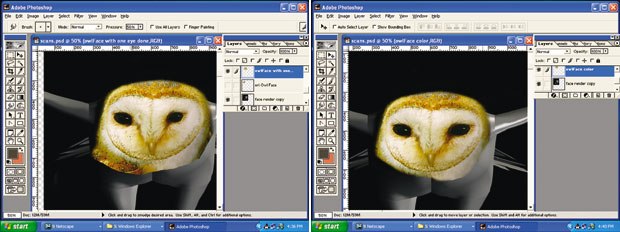 [Figure 18] (left) The opacity is restored, and the head and eye images are merged. [Figure 19] (right) The other eye is transformed to make the head image symmetrical.