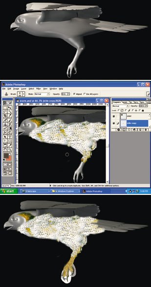 [Figure 27] (top) The side view of the bird. [Figure 28] (middle) The side projection view of the bird with cloned textures. [Figure 29] (bottom) A hawks feet being used for the owls feet.