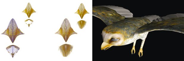 [Figures 41 & 42] The bottom of the beak is filled in, and the top beak is cleaned up (left). This is a test render of what the preliminary textures look like before clean up.