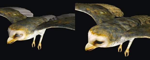 [Figure 48] Eye color and beak interior color is applied.