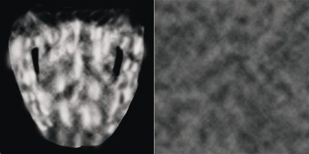 [Figures 49 & 50] A simple bump map is applied to the body texture (left). A simple specular map is applied to the model (right).