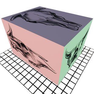 [Figure 7] The sides of the box represent the views used in orthographic projection.