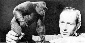 Harryhausen with his creations like Mighty Joe Young blurred the line between fantasy and reality.