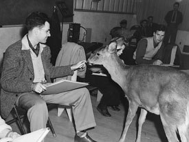 The late Frank Thomas, who was a progressive thinker when it came to the expansion of 3D CG, here, observes a deer to gain knowledge on the subtle details of the animals movements.