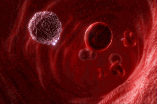 Production quality is up in medical animation. Above is a visualization of the red and white blood cells in circulation from an award-winning animation called The Metabolism of Methotrexate. All BioLucid images © 2004 BioLucid Prods.