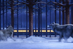 The motivation for the ticket ride was the books illustration of wolves looking at the train. Zemeckis wanted the lost ticket to float and land in the forest, where the wolves arrive and strike the same pose as the book.