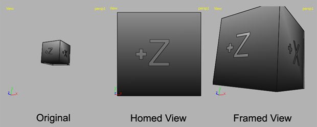 [Figure 8] The difference between framing and homing the viewport. 