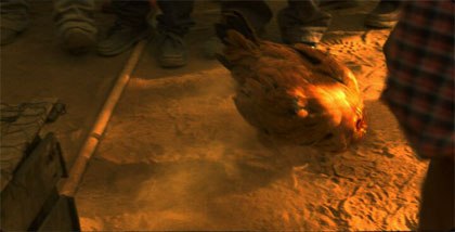 The digital removal of the head of a chicken is a perfect example of the sophisticated but seamless and invisible vfx needed for this film.