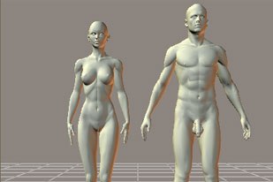 [Figure 3] Anatomically correct figures.