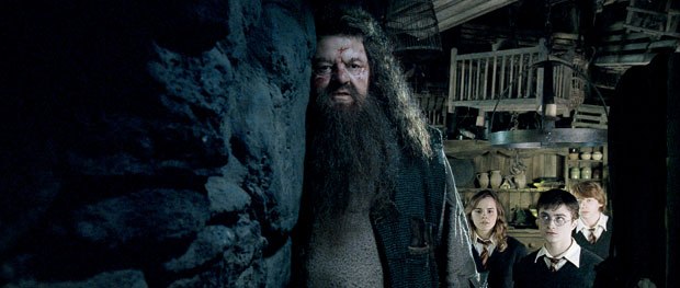 RSP created Hagrid's hut and its environment Some of the larger hut shots required the creation of full 3D environments, including the grass and the sky. 
