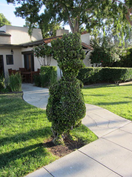 The Bart Simpson topiary stands proudly in front of The Simpsons production offices.