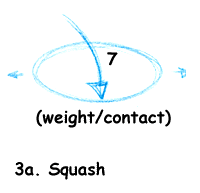 Squash (weight/contact)