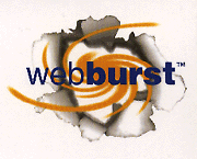 WebBurst Logo.
