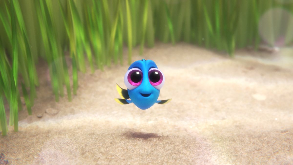 1030129-unbearable-cuteness-and-sadness-collide-finding-dory_1.jpg