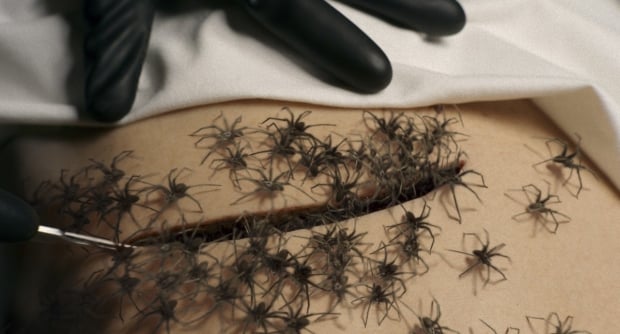 How ‘Spider-Noir’ Built Two Shows from One Vision