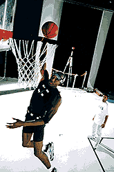 Motion-capture plays a big part in sports games like NBA 2K. © Sega Entertainment.