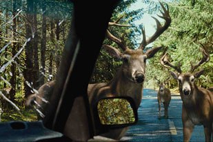 Creating realistic deer for the sequence in which a herd surrounds the main characters car was a big challenge for R&H.