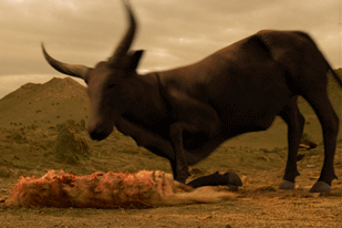 This effect was a combination of several elements: a photo of a live hyena laying in front of a bluescreen; a CG wound modeled and tracked onto the animal skin; and a CG cow created in XSI.