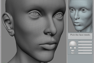 Screenshots of the individual parts that make up the Face Robot head.
