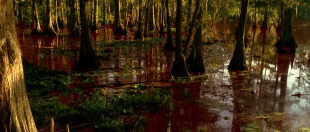 A major sequence involved the river of blood, which had to look like they'd hadn't just changed the color of the water. The color also had to match from shot to shot.