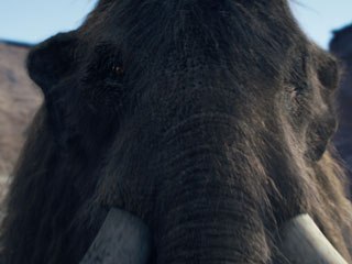 MPC went straight into a major R&D effort to craft the wooly mammoth's unique fur. They developed a new fur simulation tool called Furtility.