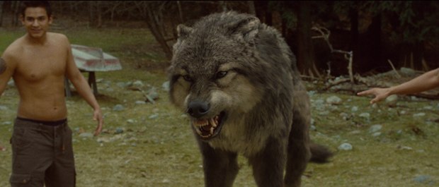 The transformation from human to werewolf (in this case, Timberwolf) happens quickly and explosively.