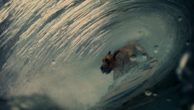 Houdini came in handy for Rhythm & Hues during the surfing sequence.