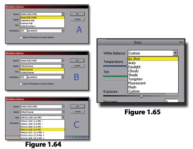 [Figure 1.64] Raw interface color space, bit depth, and sizing and resolution options.