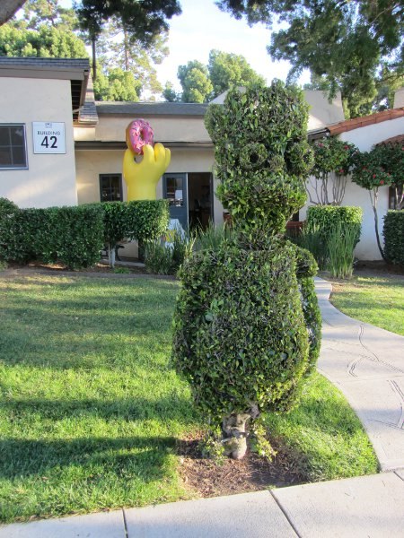 Fine hedge-trimming skills on display in front of The Simpsons production office.