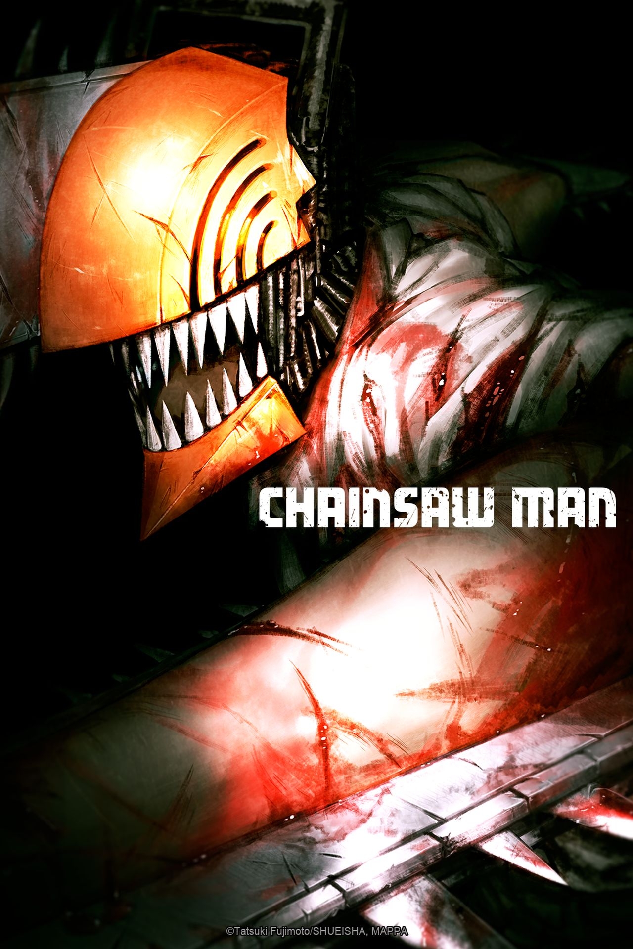 Watch Chainsaw Man Season 1 Dubbed outside USA on Hulu