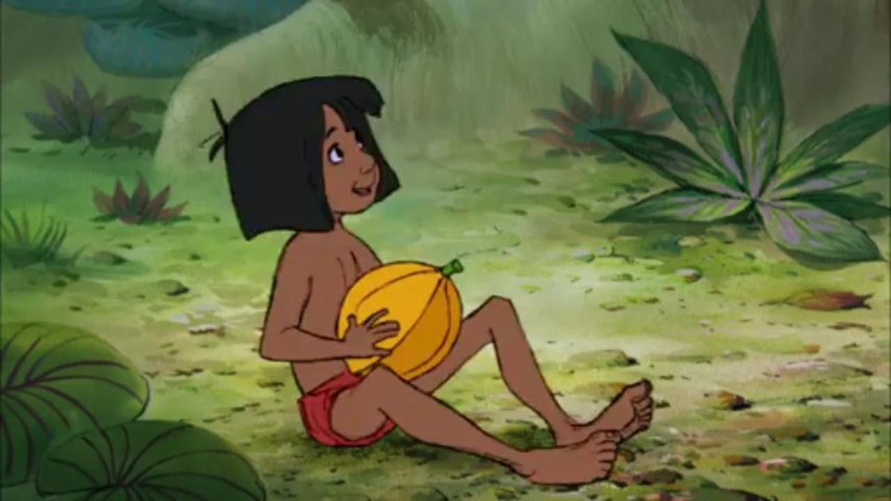 Disney's 'The Jungle Book' Casts Newcomer Neel Sethi as Mowgli | Animation  World Network