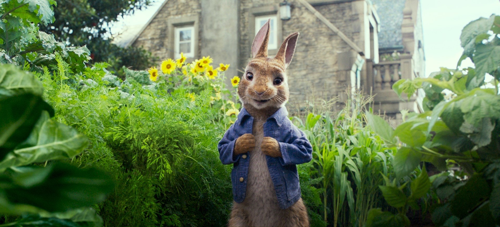 Peter Rabbit - movie: where to watch streaming online