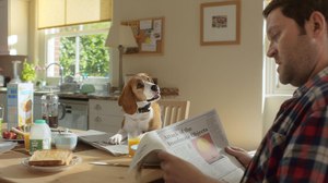 Finish Creates CG-Animated Dog for New Beagle Street Campaign