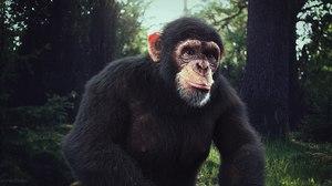 TUTORIAL: Create a Photoreal Chimpanzee Using 3ds Max, ZBrush and V-Ray
