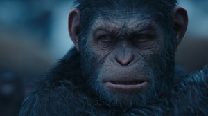 Image Gallery: Weta Brings Emotion & Drama to CG for ‘War for the Planet of the Apes’