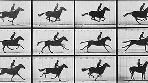 A Brief History of the Animated Horse