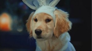 Western X Employs PipelineFX's Qube! for 'Santa Puppies' Feature