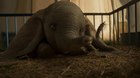 REVIEW: Disney’s ‘Dumbo’ Remake is ‘Pure Burton’