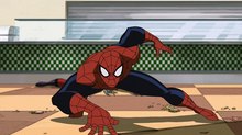 ‘LEGO Movie’ Directors Developing Animated ‘Spider-Man’ Feature for Sony