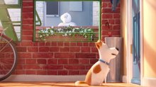 Illumination’s ‘Secret Life of Pets’ to Premiere at Annecy 2016
