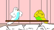 ‘The Parakeets:’ Who Knew Birdwatching Could be so Funny
