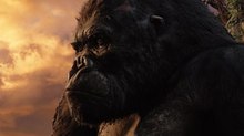 Oscar Nominees Discuss 'Kong', 'Narnia' and 'War of the Worlds'