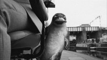 MPC Creates CG Talking Platypus for First Direct