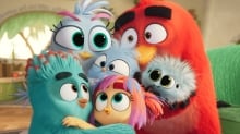 Paramount Drops 'The Angry Birds Movie 3' Trailer, Poster and Images Paramount Drops 'The Angry Birds Movie 3' Trailer, Poster and Images
