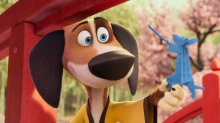 Paramount Drops ‘Paws of Fury: The Legend of Hank' Clips